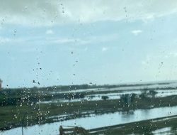 Prakiraan Cuaca Makassar Hari Ini, Potensi Hujan Sepanjang Hari