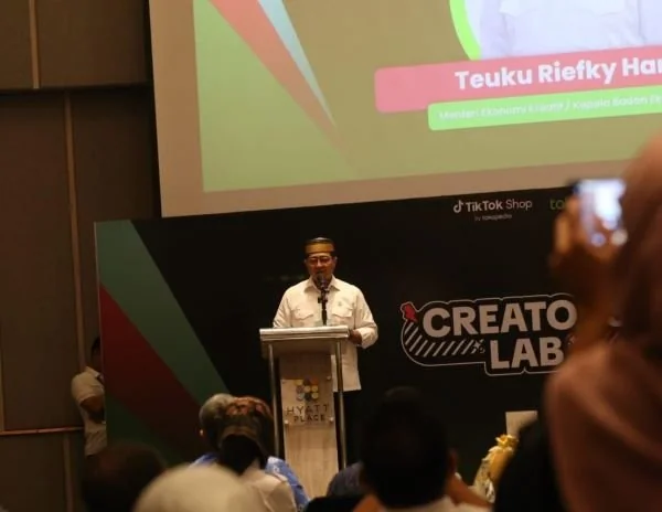 Menteri Ekonomi Kreatif/Kepala Badan Ekonomi Kreatif, Teuku Riefky Harsya (Dok : Ist).