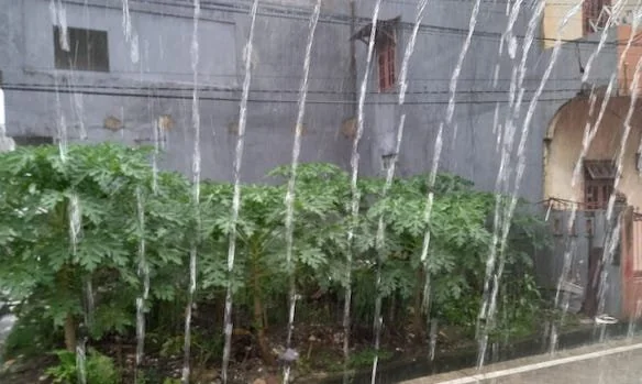 (Foto : Dok KabarMakassar Asrul).