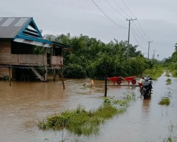 Banjir merendam pemukiman warga di Mamuju Tengah (dok:ist)