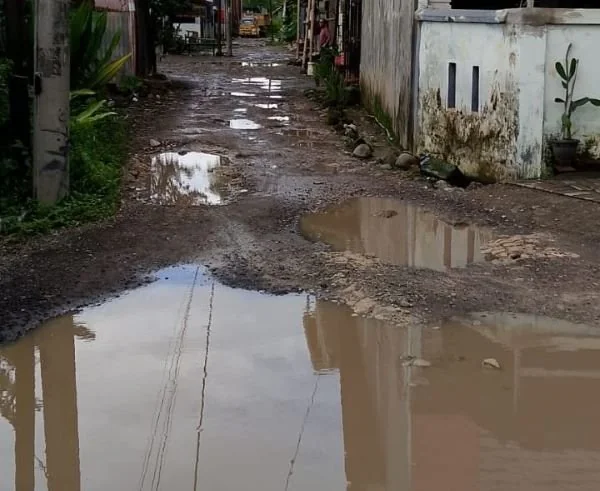 Suasana Jalan Borong Raya Baru 7 RW 7, (Dok: Ist).