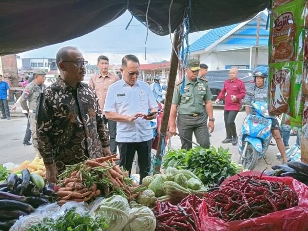 Gubernur Sulbar saat melakukan pemantauan Harga pangan di pasar Mamuju (dok:ist)