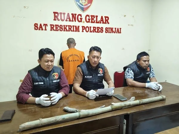 ersangka Bersama sejumlah Barang Bukti Sajam Yang diperlihatkan Aparat Polres Sinjai ist