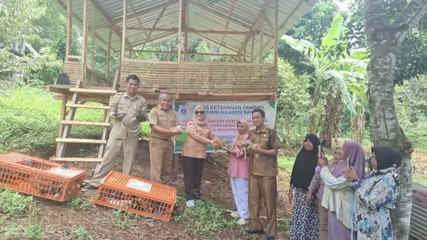 Penyerahan bantuan ayam yang dilakukan Kadis Ketapang dan Wakil Ketua DPRD Sulbar (Dok : Ist).