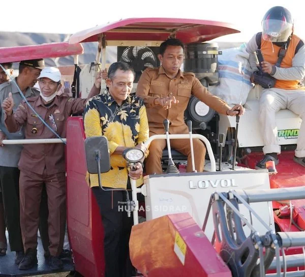 Panen Raya Sidrap (Dok: Ist).