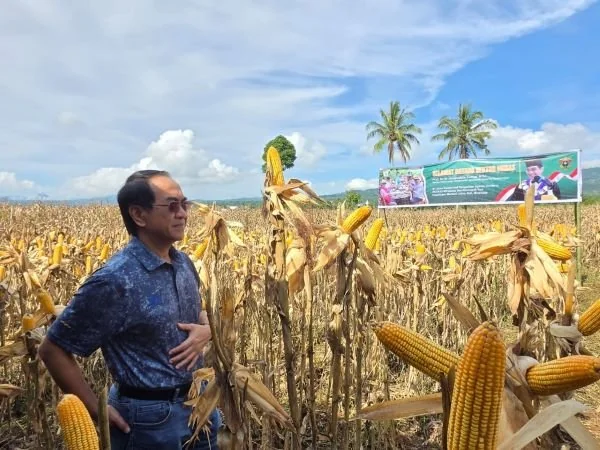 Rektor Unhas, Prof Jamaluddin Jompa (Dok : Ist).