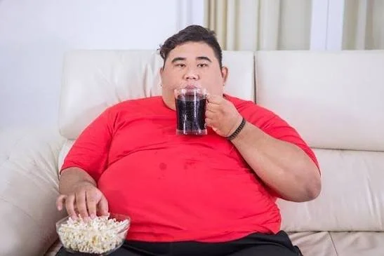 Kerjasama