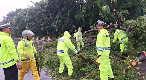 Satlantas Polres Pelabuhan bersihkan pohon tumbang (Dok:Ist)