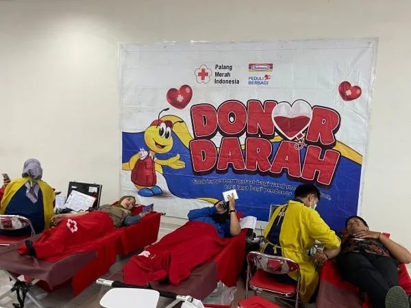 Kegiatan donor darah yang diselenggarakan oleh Indomaret (Dok: Nofi KabarMakassar)