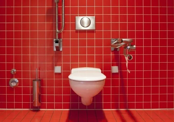 Ilustrasi toilet (Dok: Int).