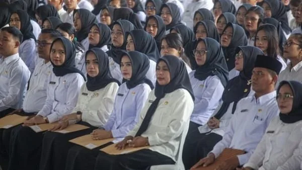 Ilustrasi PPPK (Dok : int).