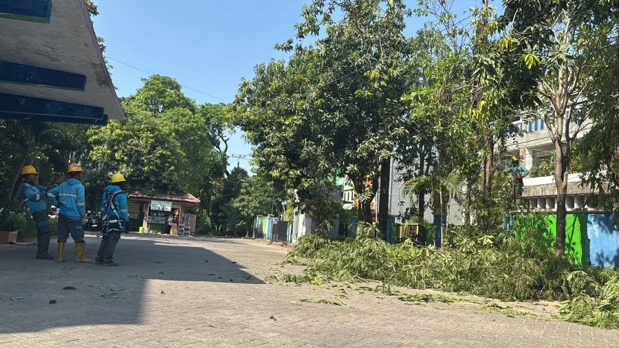 Pemeliharaan terpadu merupakan bagian dari komitmen PLN untuk menghadirkan layanan kelistrikan yang andal dan aman bagi masyarakat (Dok: Ist)
