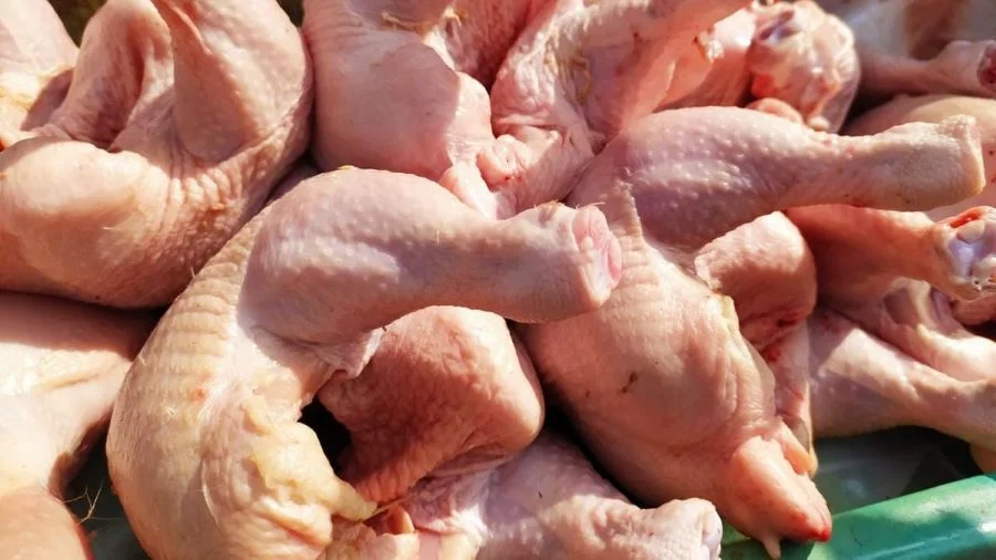 Ilustrasi daging ayam (Dok: Ist)