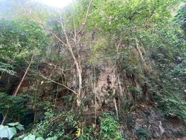 Bantimurung di Kabupaten Maros (Dok: Nofi KabarMakassar)