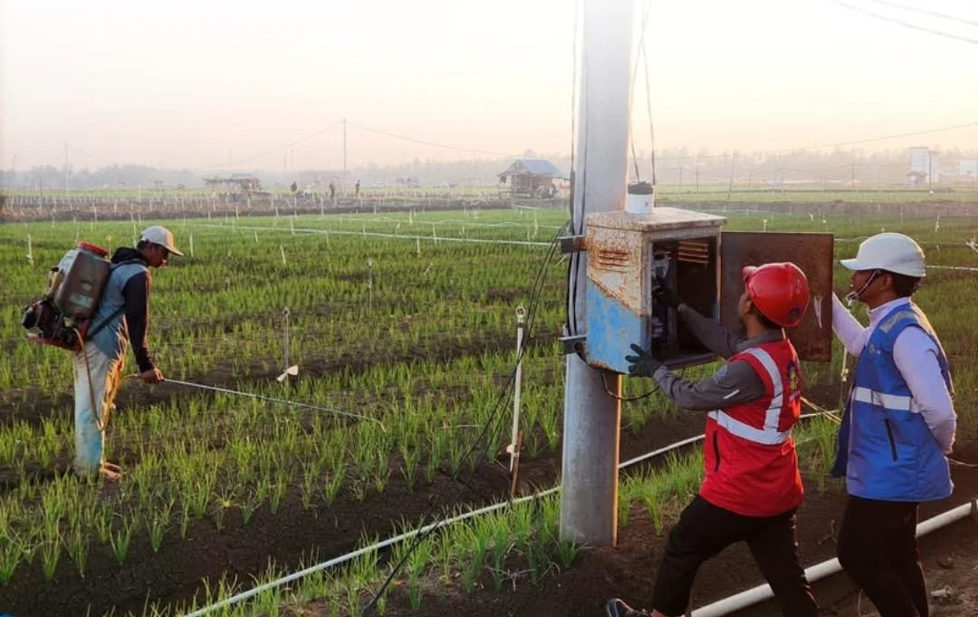 Penerapan program Electrifying Agriculture (EA) (dok. Ist)