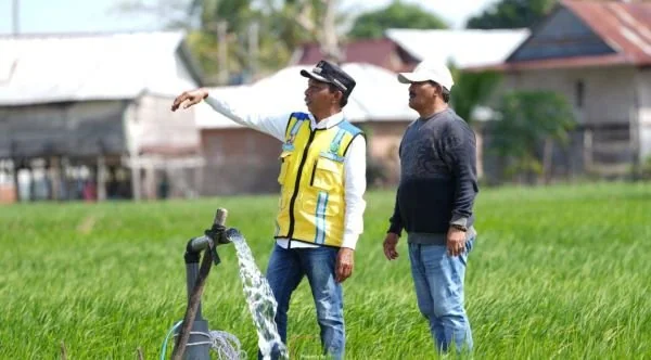 Bupati Sidrap Syaharuddin Alrif turun langsung meninjau saluran irigasi (Dok: Ist).