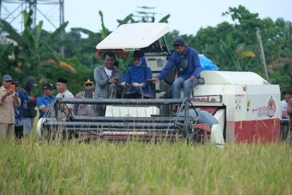 Panen Raya Gowa (Dok: Ist)