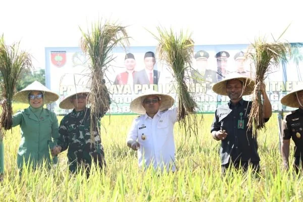 Pj Bupati Bantaeng, Andi Abubakar hadiri Panen Raya Padi yang diinisiasi Kodim 1410 Bantaeng pada Program Ketahanan Pangan 2024 di Bungung Barania Bissampole, Rabu (27/3).