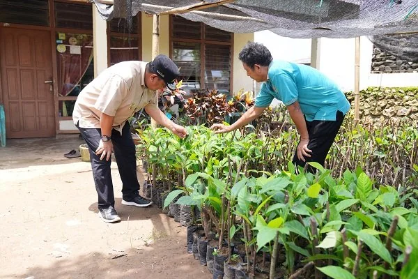 Pj Gubernur Sulsel saat mengecek bibit sukun di Desa Samaenre, Kecamatan Bengo, Kabupaten Bone.
