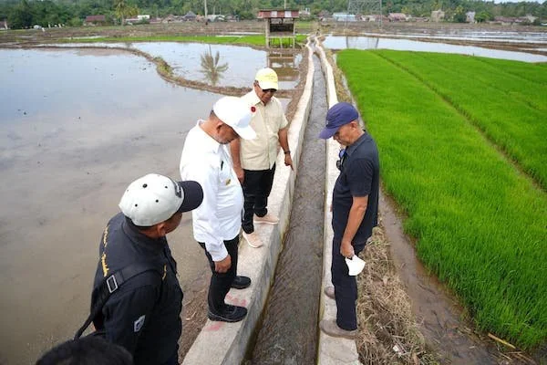 Pj Gubernur Sulsel, Prof Fadjry Djufry meninjau irigasi tersier di Bulukumba (Dok: Ist)
