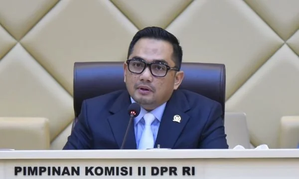 Ketua Komisi II DPR, Rifqinizamy Karsayuda, (Dok: Ist).