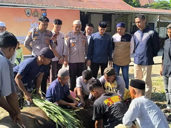 Penyembelihan hewan kurban di Polres Majene (Dok : Ist).