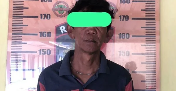 DPO penganiayaan berat yang berhasil di ringkus Resmob Polresta Mamuju (Dok : Ist).