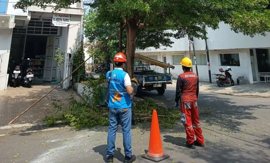 PLN ULP Mattoanging gelar Pemeliharaan Terpadu Tuntas di Jalan Landak Baru (Dok: Ist)