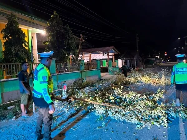Personel Polantas Polda Sulbar saat membersihkan ranting pohon yang menutup jalan. (Dok: Ist)