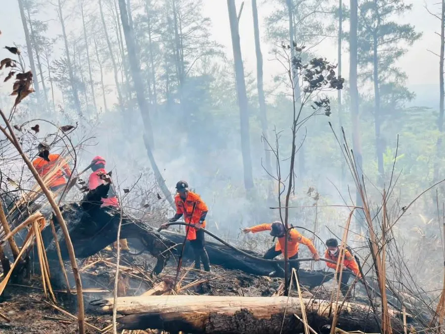 Tim gabungan melakukan pemadaman di kawasan pinus Gunung Bulusaraung, Dusun Kompasa, Desa Loka, Kecamatan Rumbia, Kabupaten Jeneponto (Dok: Ist)