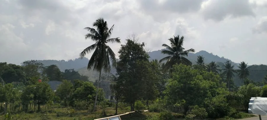 Kabut asap yang menyelimuti Kabupaten Mamuju (Dok: Muh Rizaldy Andi Djemmang KabarMakassar)