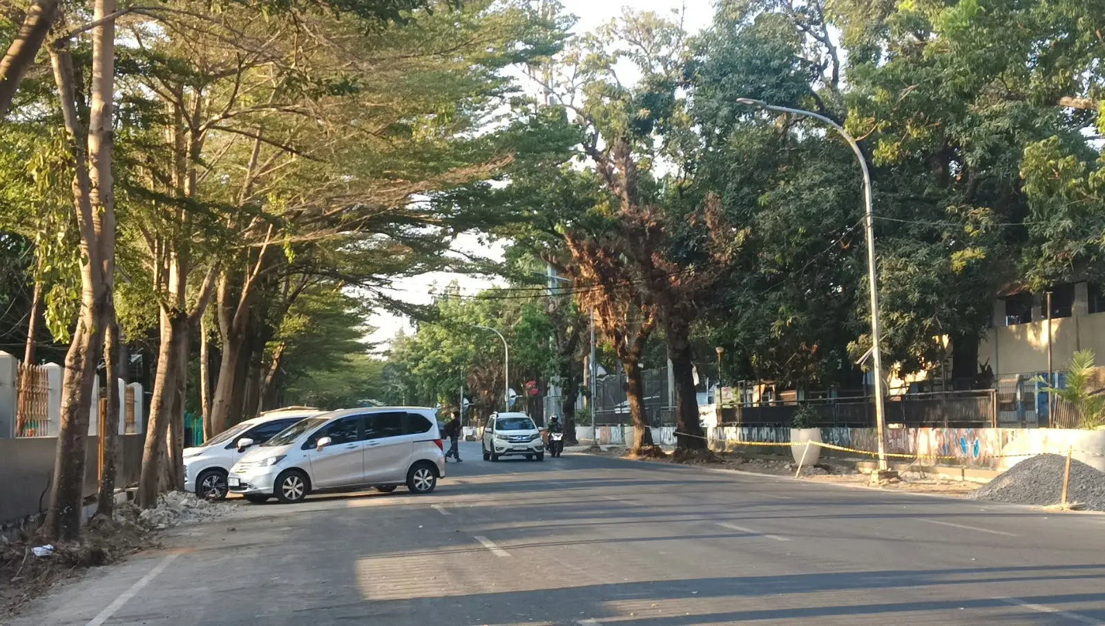 Pohon di Jalan Kajaolalido (Dok: Sinta KabaMakassar)