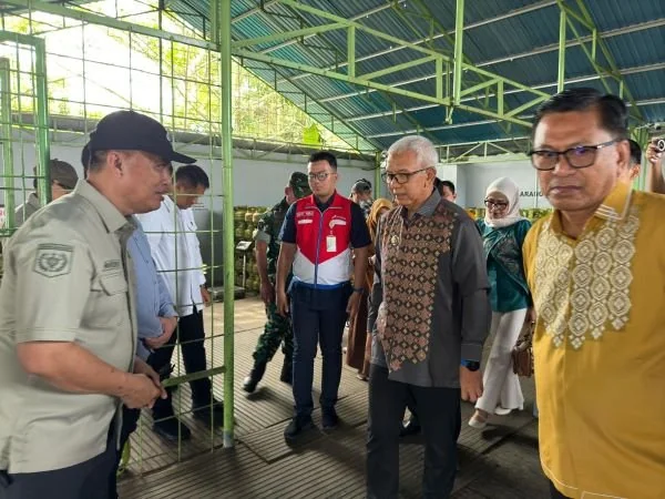 Pertamina Patra Niaga Regional Sulawesi bersama Pj Gubernur Gorontalo melakukan pemantauan terhadap ketersediaan barang kebutuhan pokok masyarakat, termasuk LPG subsidi 3 kg (Dok : Ist).