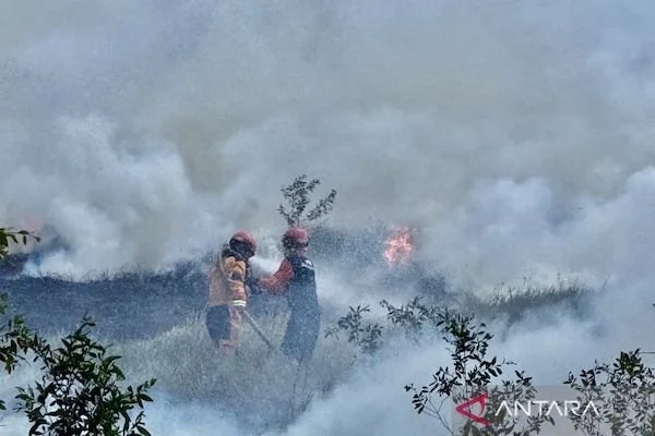 Satgas Darat berupaya memadamkan api di lahan gambut di tengah kepungan kabut asap akibat kebakaran hutan dan lahan di kawasan Pengayuan, Banjarbaru, Kalimantan Selatan, Selasa (25/8/2026). (ANTARA/Tumpal Andani Aritonang)
