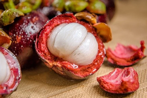 Ilustrasi buah manggis (Dok: Int)