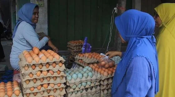 seorang warga saat melakukan aktivitas jual beli telur di pasar sentral Majene