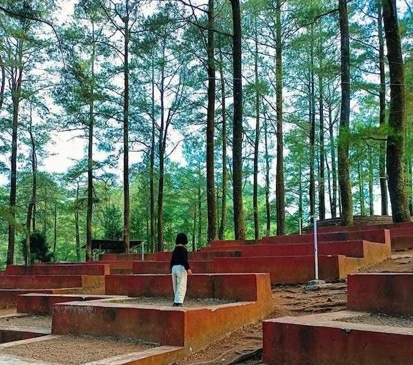 Suasana Hutan Pinus Malino (Dok: Sinta KabarMakassar).