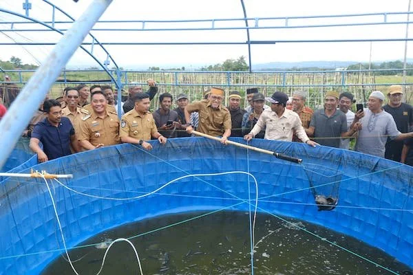 Bupati dan Wakil Bupati Jeneponto saat  Hadiri Panen Raya Padi dan Ikan Tawar di Desa Bontotiro.