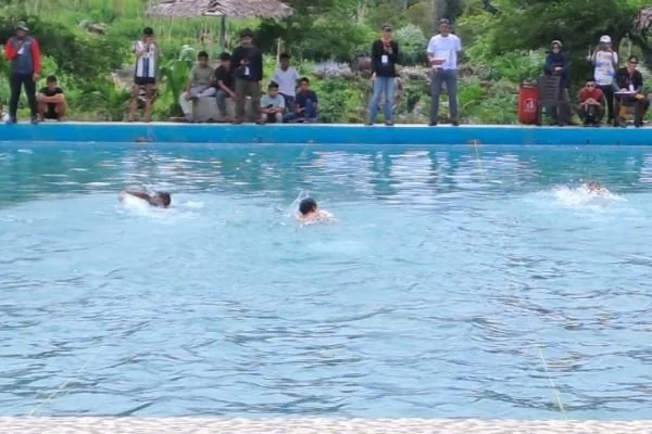 Perenang dari kalangan pelajar tingkat SMA di Kabupaten Jeneponto mengikuti kejuaraan renang massal (A'lange-lange) di Kolam renang Agrowisata Kassi, Kecamatan Rumbia (Dok : Ist).