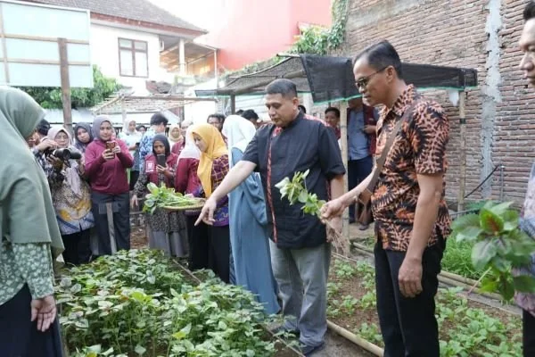 Wali Kota Makassar Munafri Arifuddin saat Panen Urban Farming di Tallo (Dok: Ist).