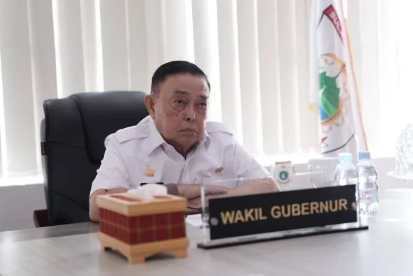 Wakil Gubernur Sulbar Salim S Mengga (Dok : Ist).