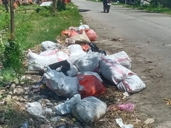 Tampak tumpukan sampah di bahu Jalan Mappajalling Daeng Kawang, Kecamatan Pattalassang (Dok : Saleh KabarMakassar).
