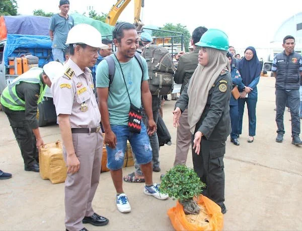 Operasi Patuh yang dilakukan oleh Karantina Sulsel (Dok: Ist)