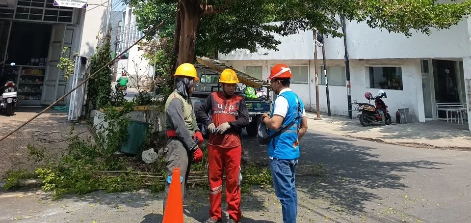 Petugas PLN ULP Mattoanging melaksanakan Pemeliharaan Terpadu Tuntas pada jaringan listrik di kawasan Jalan Landak Baru, Makassar, Kamis 29 Oktober 2026.