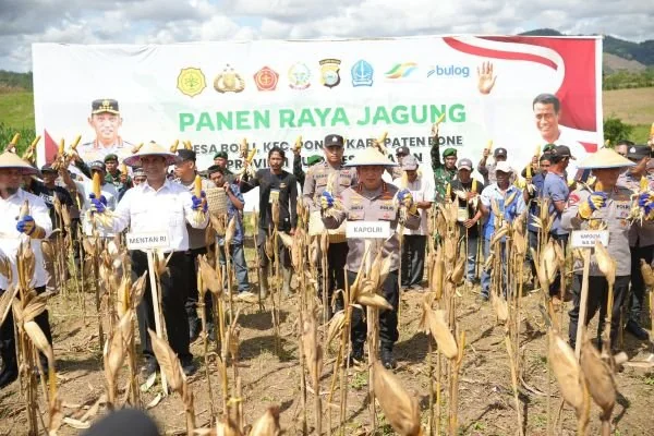 Kapolri-Mentan Laksanakan Panen Raya di Kabupaten Bone (Dok: Ist).