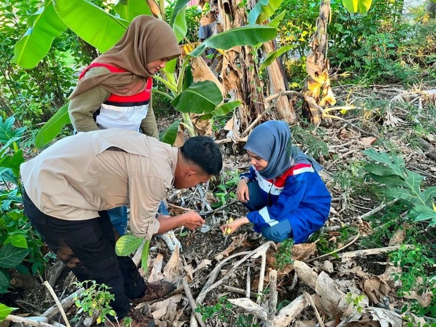 Pertamina Patra Niaga Regional Sulawesi dan UPT Kebun Raya Pucak menelusuri kekayaan flora Sulawesi di Kabupaten Bone (Dok: Ist)