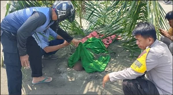 Sesosok mayat yang ditemukan di Pantai Sampaga (Dok: Ist)