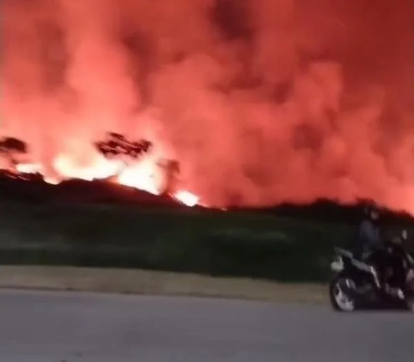 Penampakan Kebakaran di Lahan Kosong Citraland (Dok: Ist).
