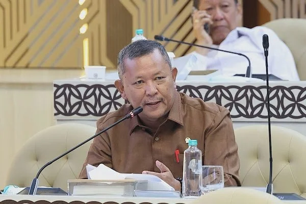 Anggota Komisi V DPR RI Irmawan (Dok: Ist).