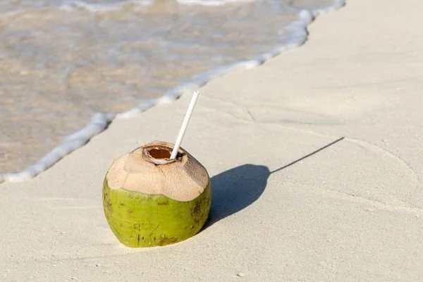 Ilustrasi air kelapa (Dok: Int)